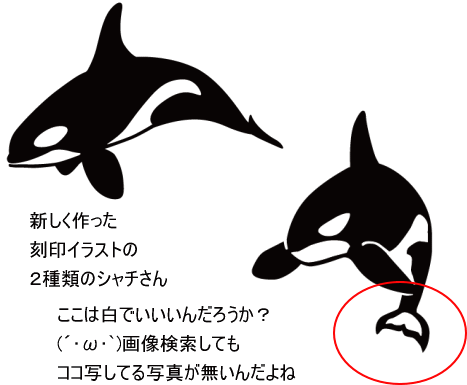 シャチさんの刻印イラストの１つの疑問 ドッグタグ ラボ